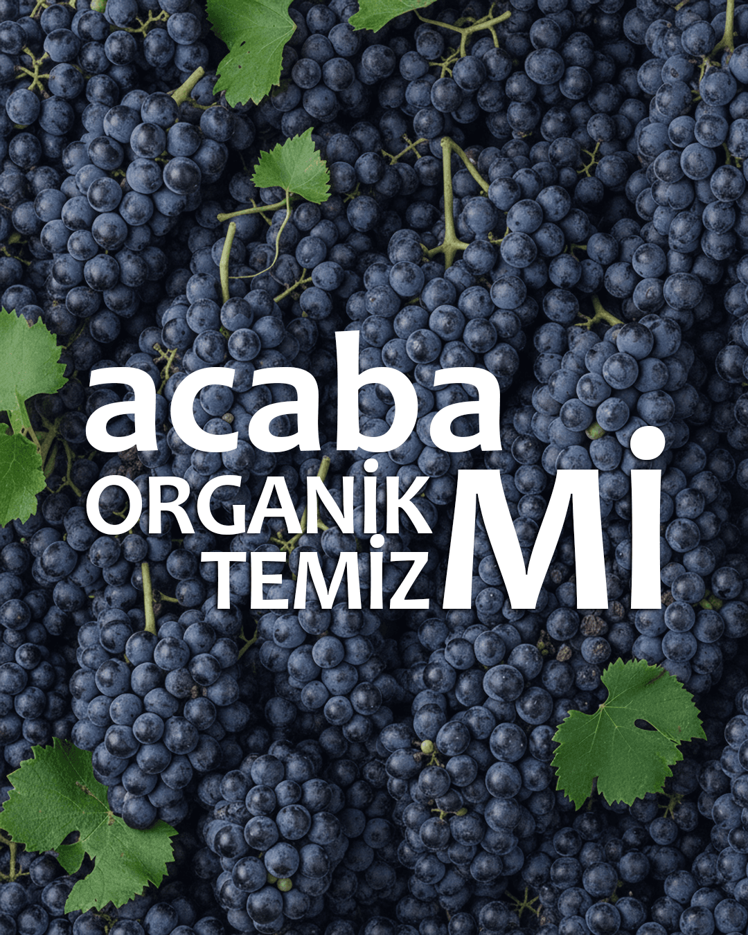 How Reliable Is the “Organic” Label?