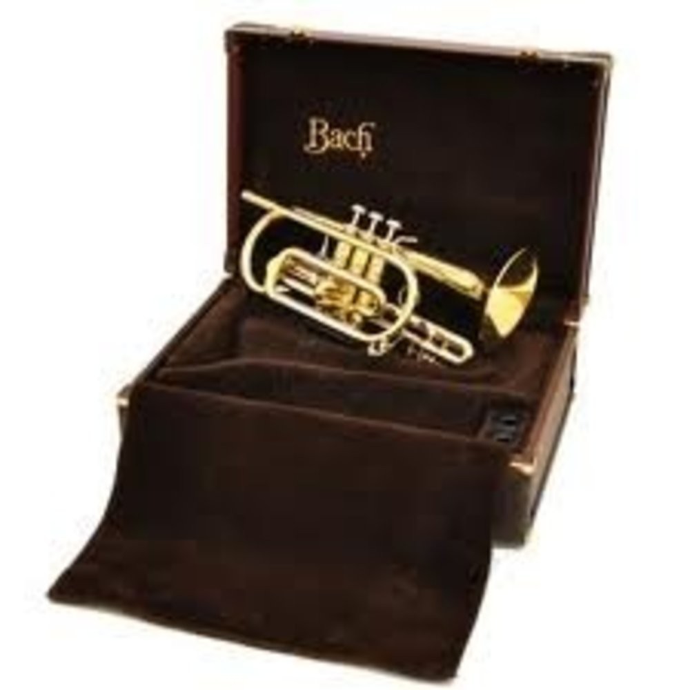 Bach 184L Kornet