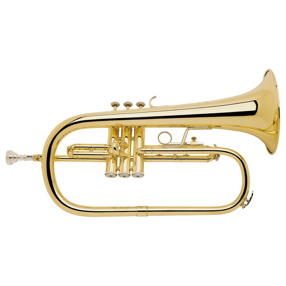 Bach FH200 Flugel Horn