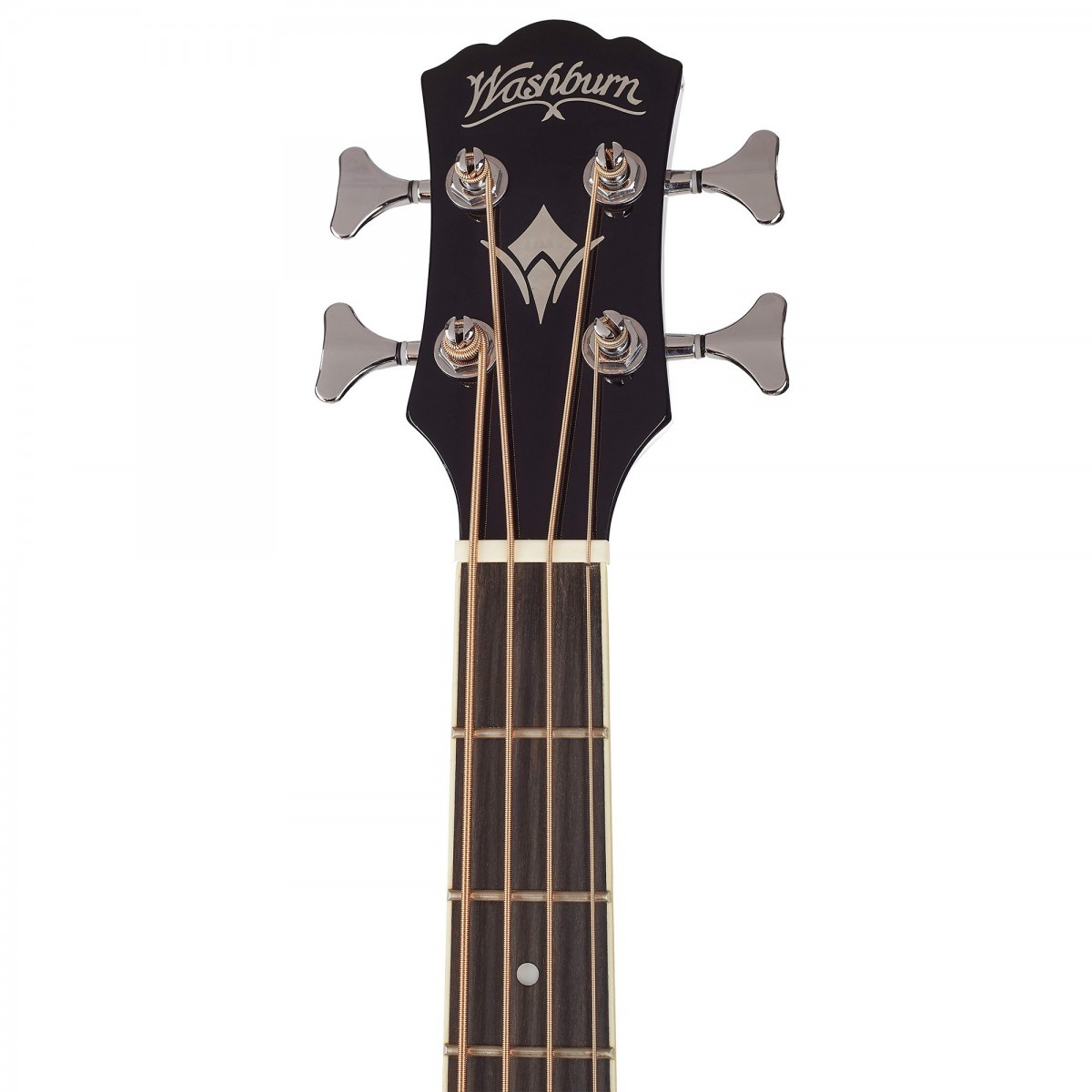 Washburn AB5B Elektro Akustik Bas Gitar Siyah