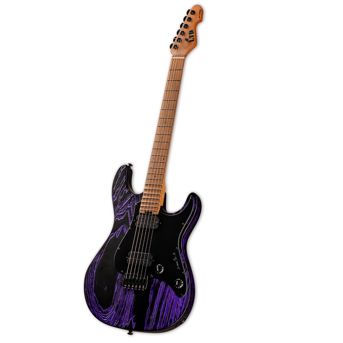 ESP LTD SN-1000HT Purple Blast Elektro Gitar