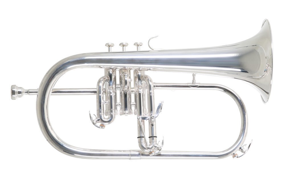 Roy Benson FH-302S Bb-Flugelhorn