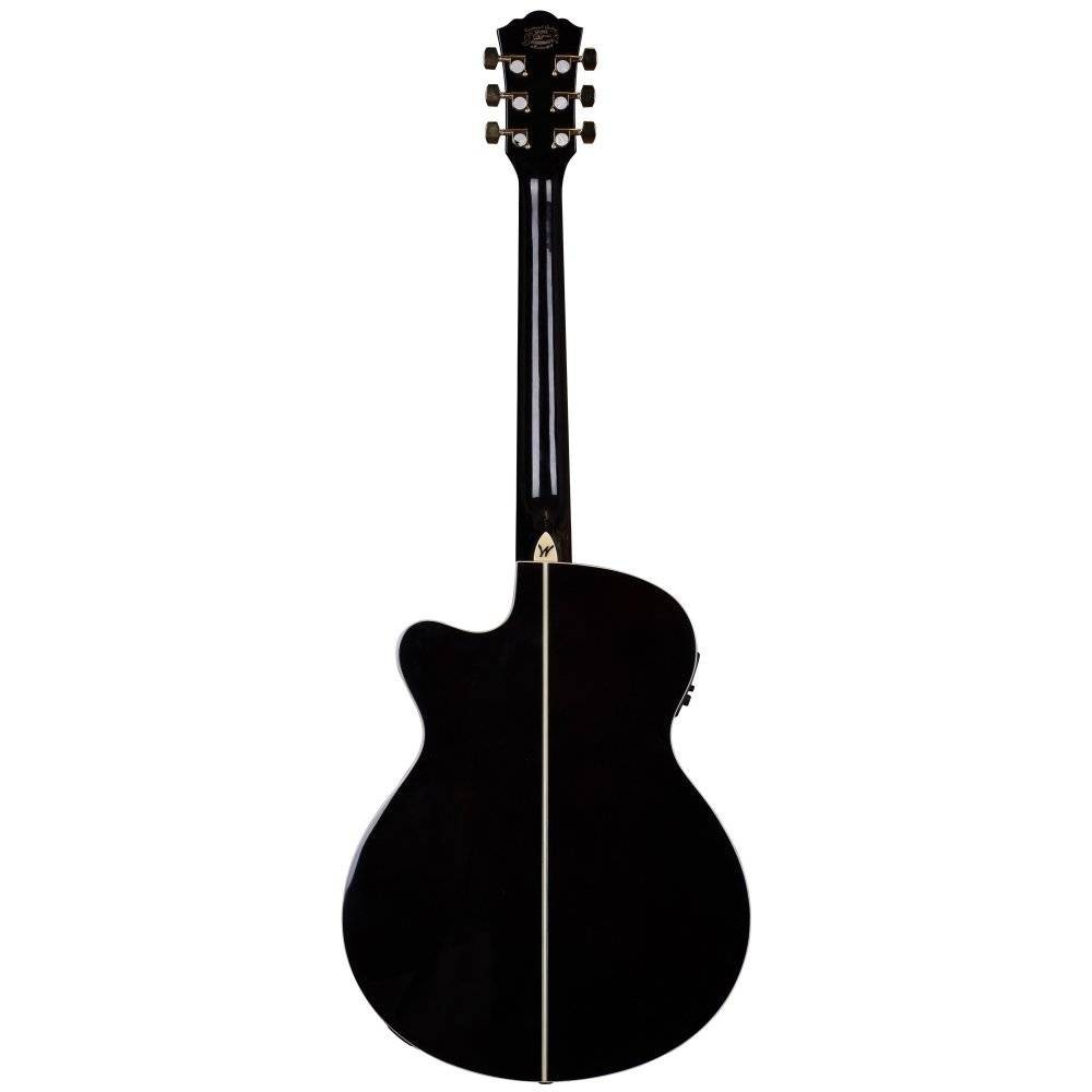 Washburn EA55G Festival Elektro Akustik Gitar