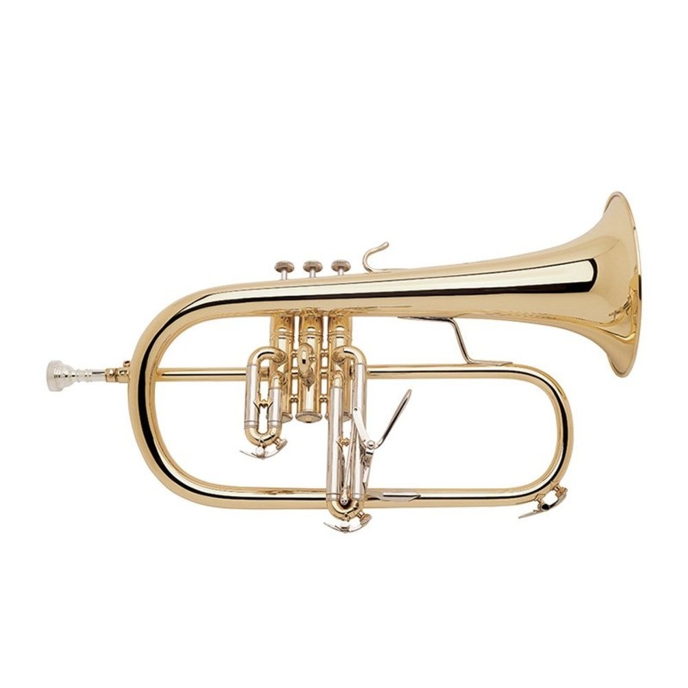 Bach 183 Flugel Horn