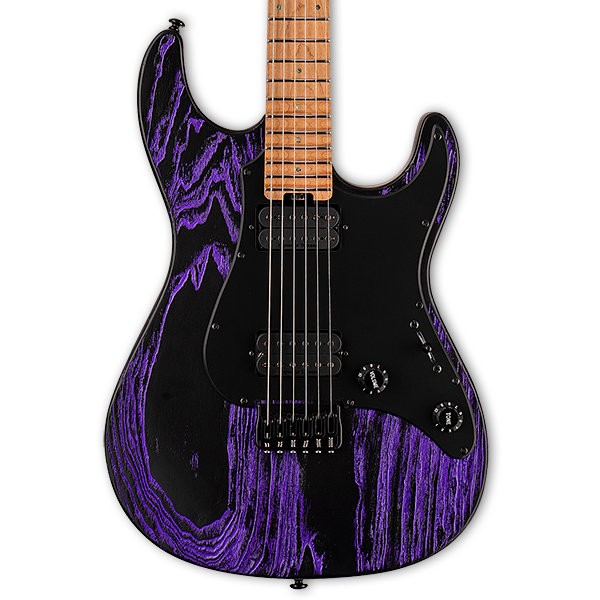 ESP LTD SN-1000HT Purple Blast Elektro Gitar