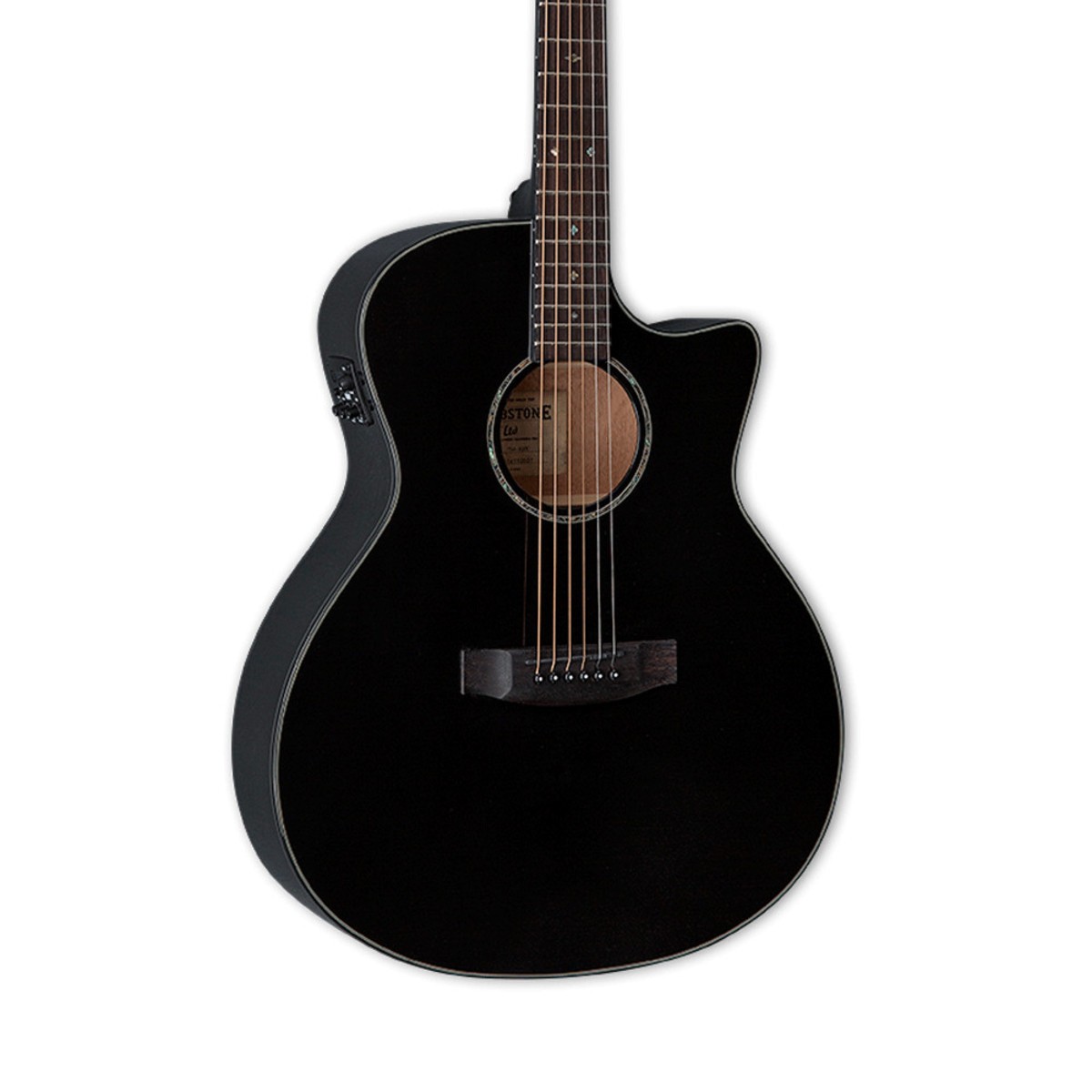 ESP LTD A-300E Siyah Elektro Akustik Gitar