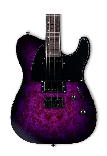 ESP LTD TE-200DX Purple Burst Elektro Gitar