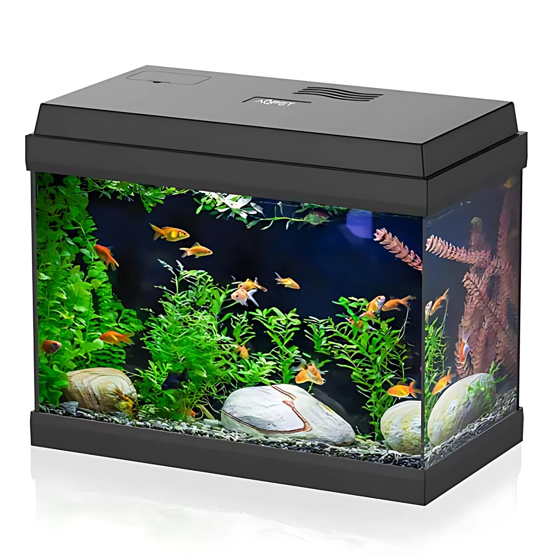 Haqos Sımply Led 30 Akvaryum 30Lt Siyah