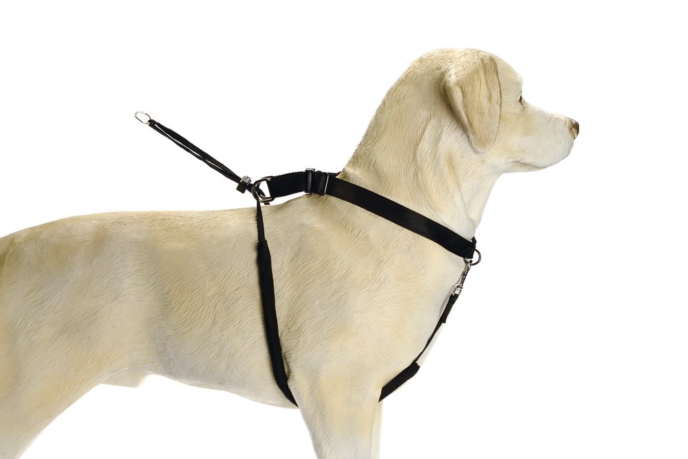Beeztees Köpek Yürüyüş Eğitim ve Düzeltme Tasması, XL