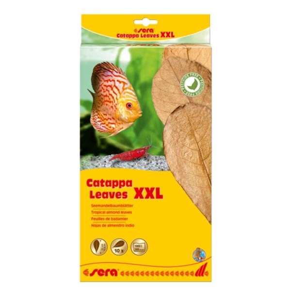 Sera Catappa Yaprağı XXL 32 Cm 10lu Paket