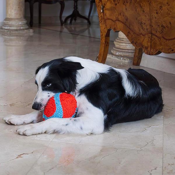 Chuckit Indoor Fumbler Ev İçi Yumuşak Köpek Oyun Topu
