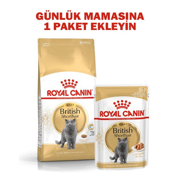 Royal Canin British Shorthair Adult Yetişkin Yaş Kedi Maması 85gr