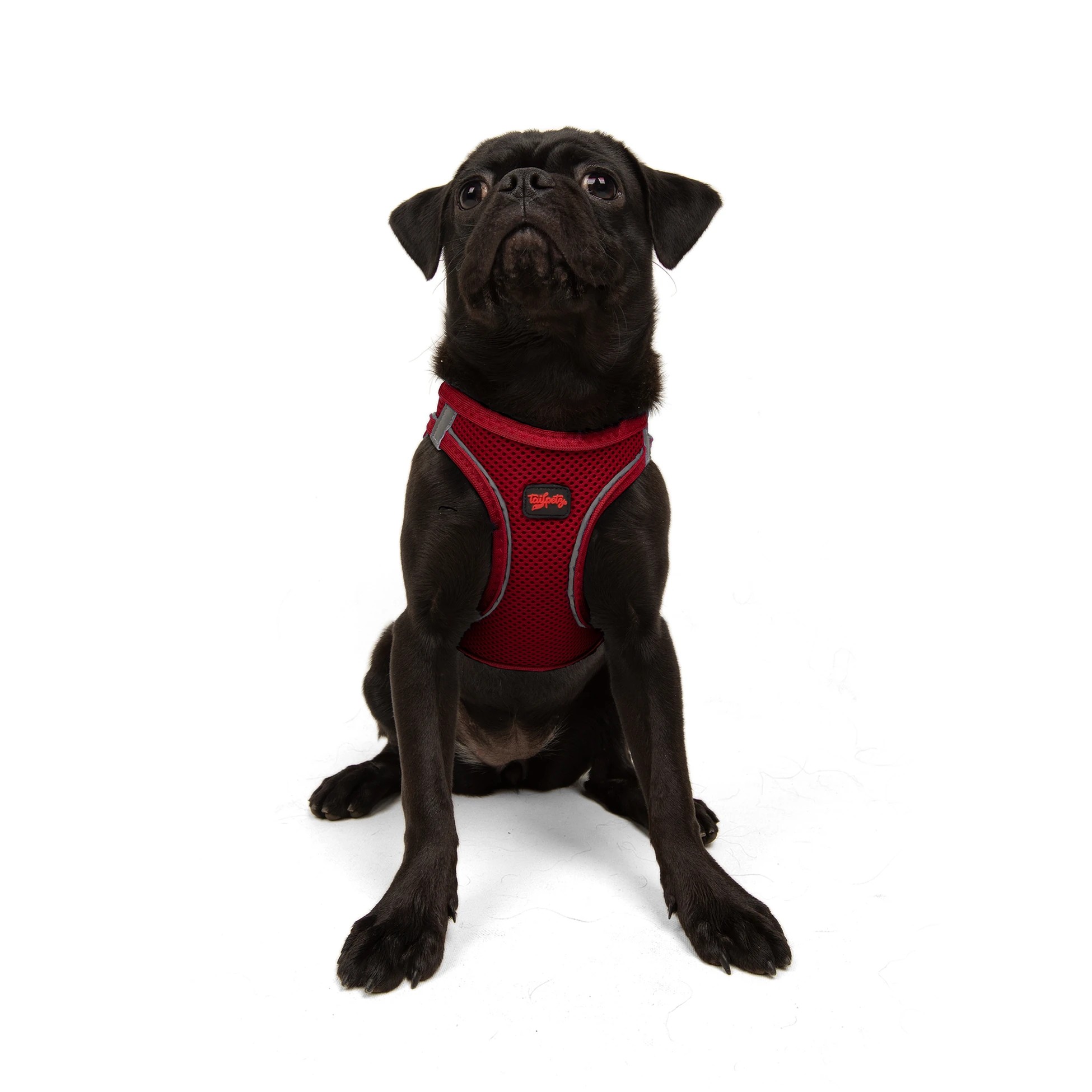 Tailpetz Air-Mesh Harness Red M