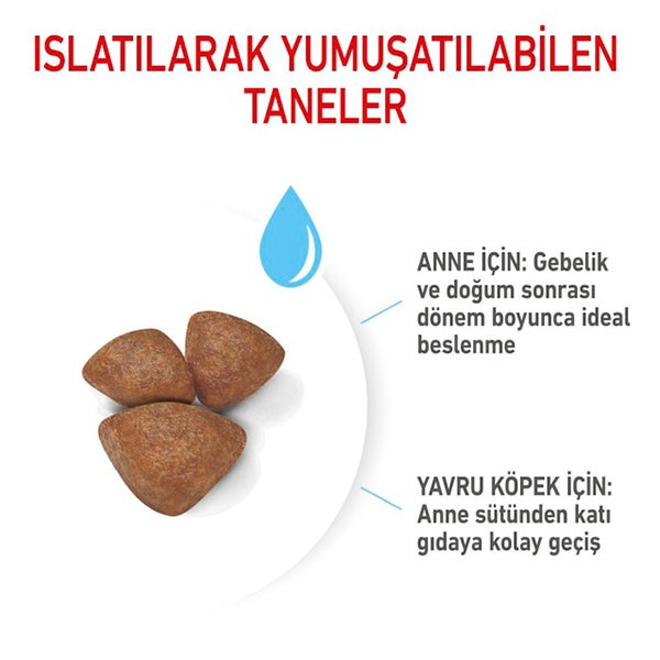 Royal Canin Mini Starter Mother&Babydog Küçük Irk Yavru Köpek Maması 4Kg