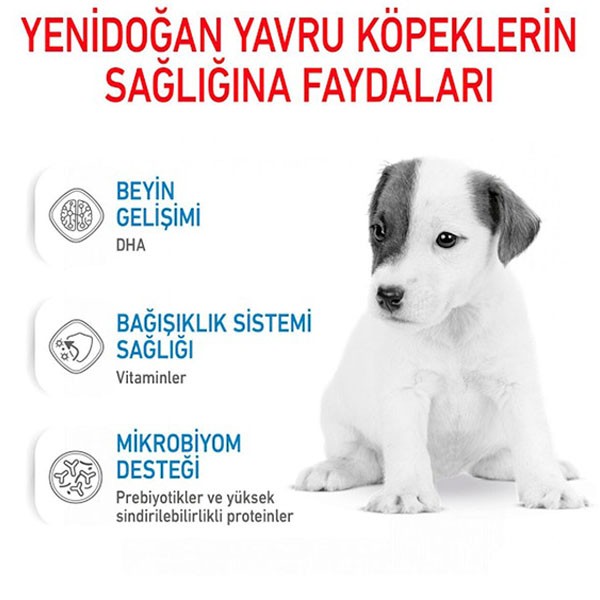 Royal Canin Babydog Milk Yavru Köpek Süt Tozu 400gr