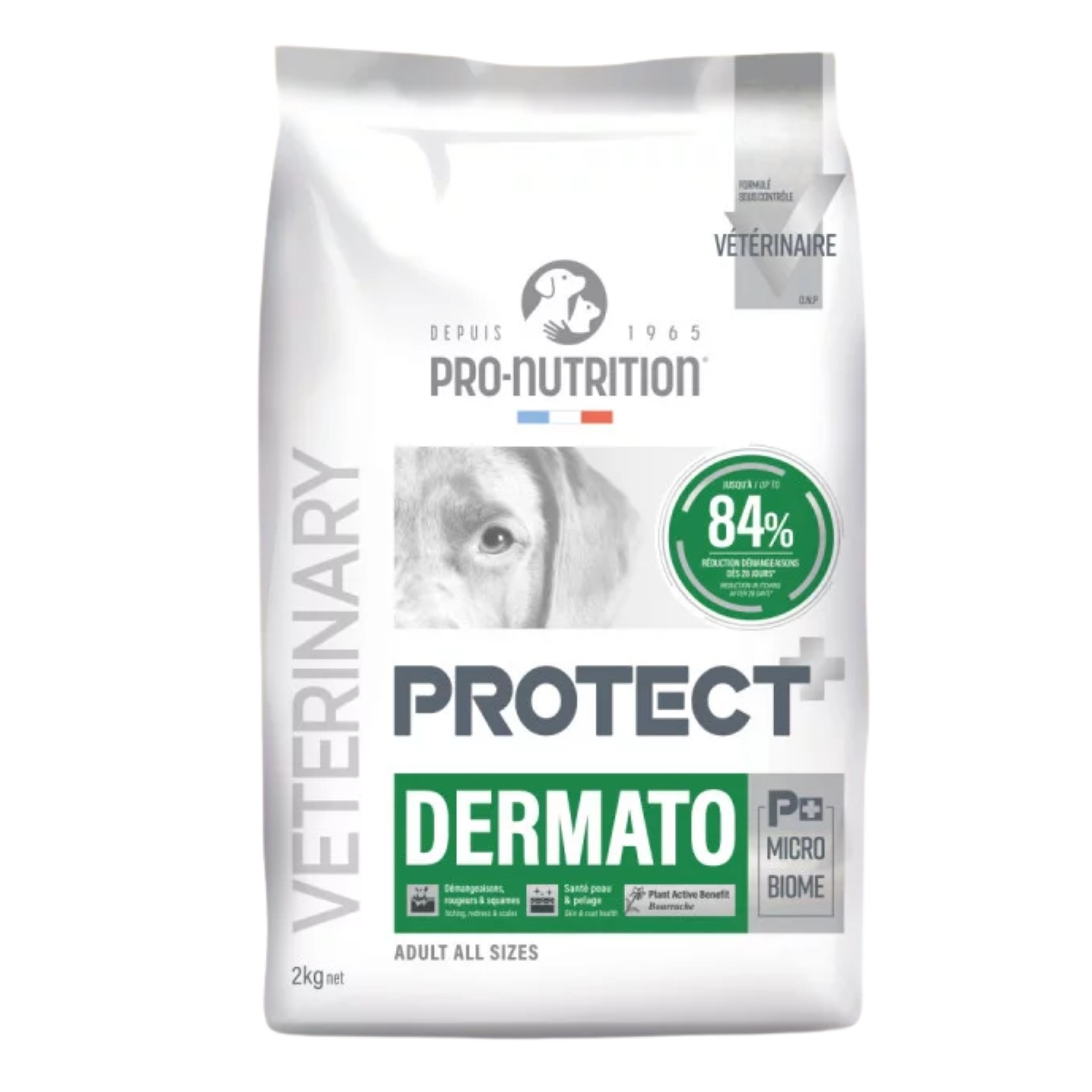 Pro Nutrition Protect Veterinary Dermato Hypo-Allergenic Cilt Sağlığı Destekleyici Köpek Maması 2kg