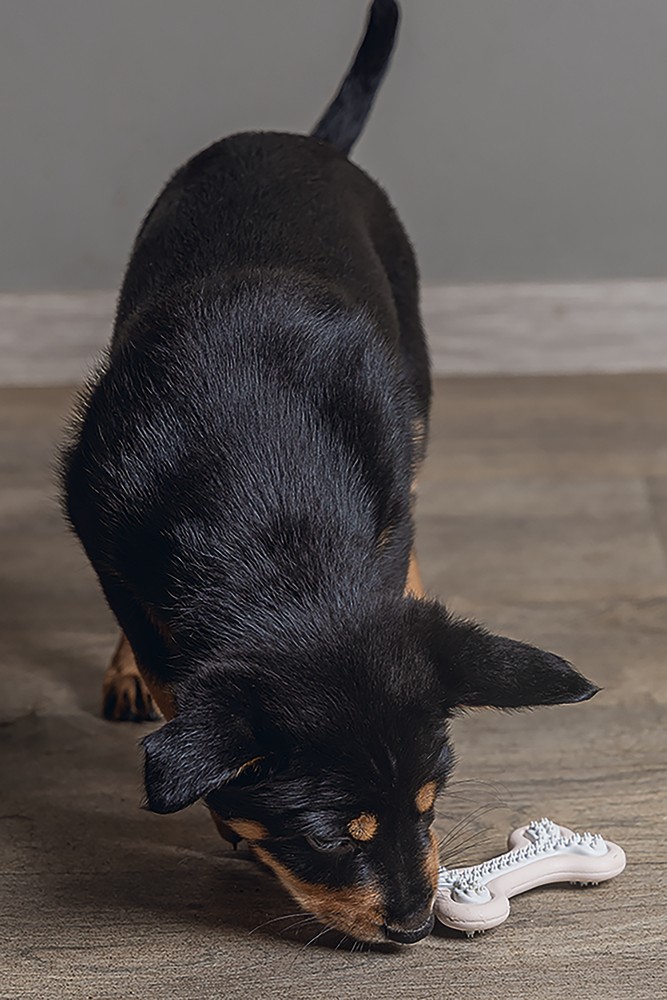 Beeztees Yavru Köpek Diş Oyuncağı, İçi Dolu Halka, Kauçuk, Pembe, 10cm