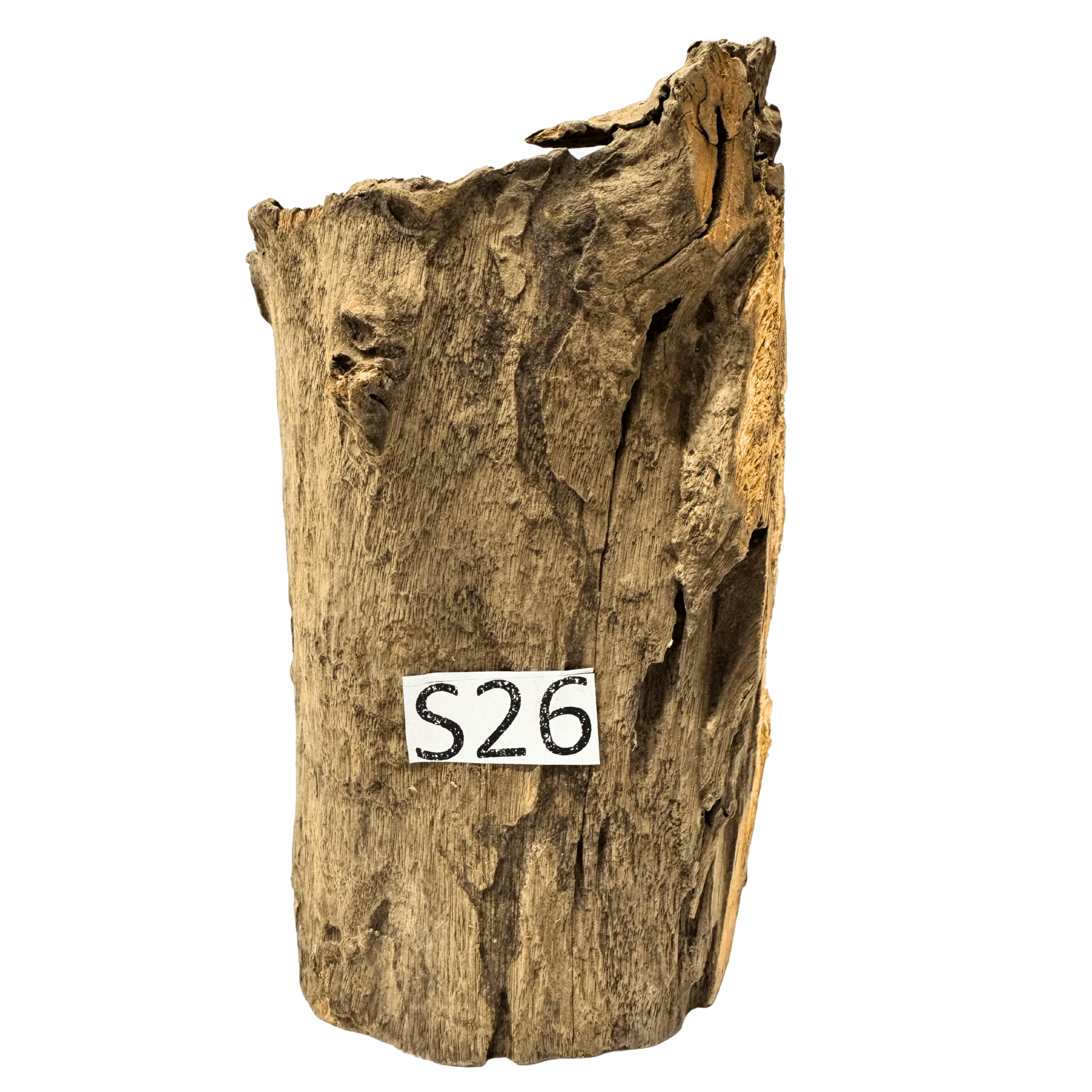 Small 26