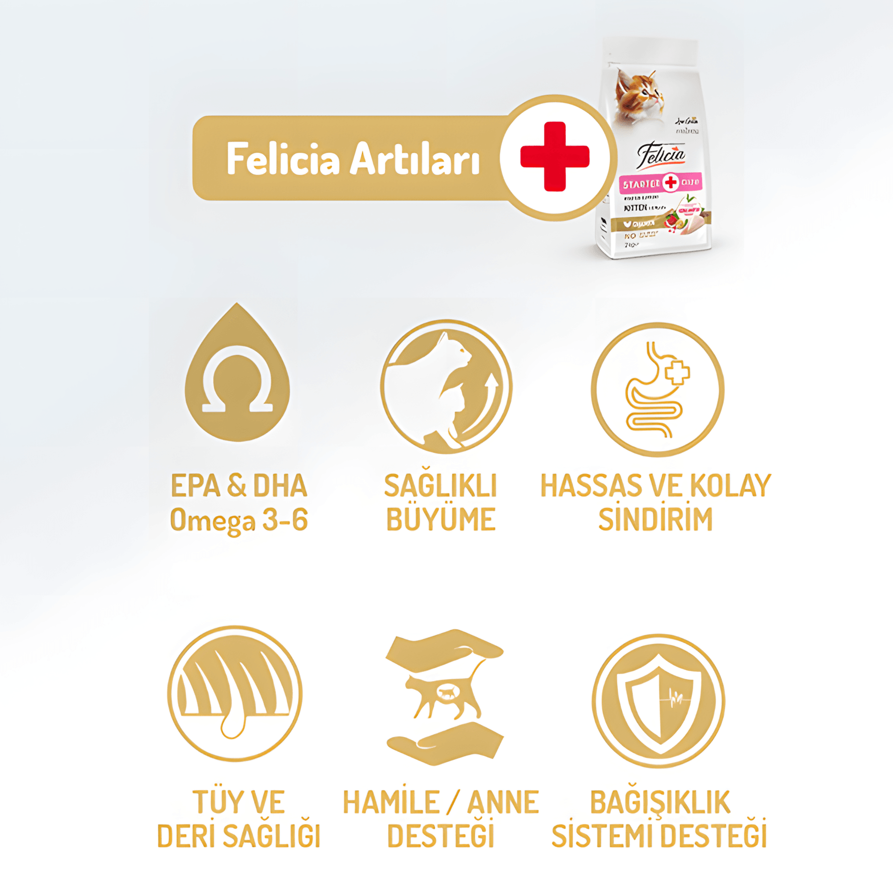 Felicia Az Tahıllı Tavuklu Hypoallergenic Kolajenli Yavru Kedi Maması 2Kg