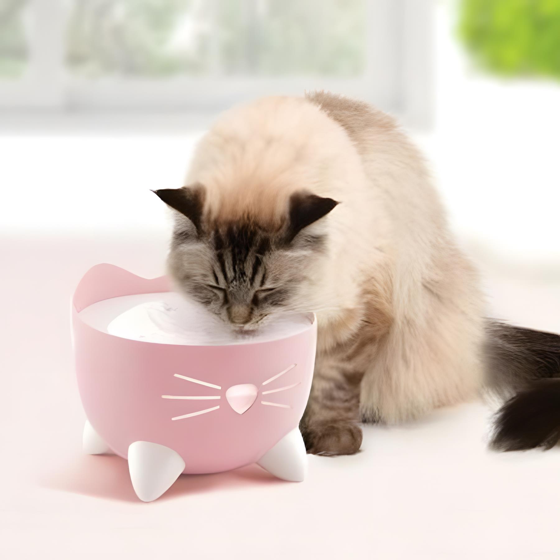 Catit Pixi Fountain Otomatik Kedi Su Pınarı Pembe 2Lt
