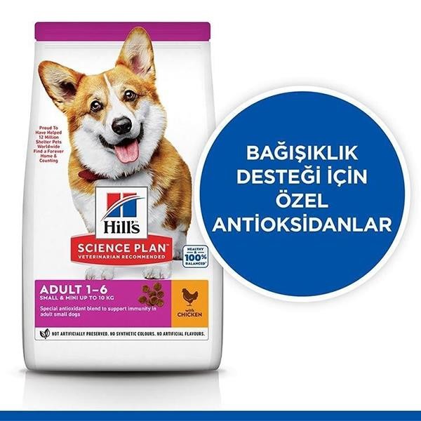 Hills Small Mini Küçük Irk Tavuklu Yetişkin Köpek Maması 1,5Kg