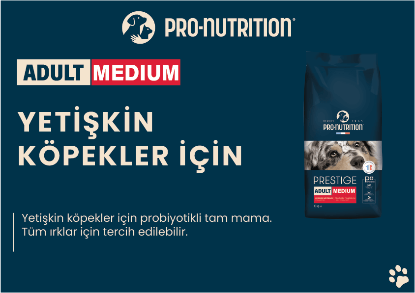 Pro Nutrition Prestige Adult Medium Orta Irk Yetişkin Köpek Maması 3Kg