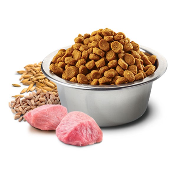 ND Ancestral Grain Kuzu Etli ve Yaban Mersinli Düşük Tahıllı Yetişkin Kedi Maması 300gr