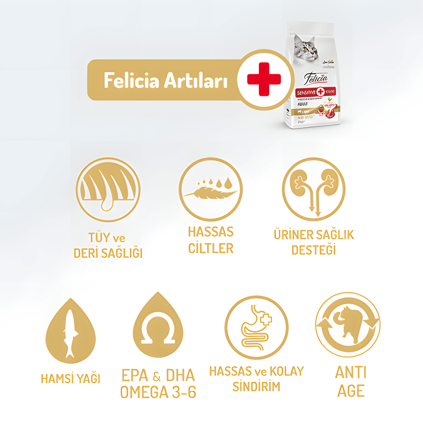 Felicia Az Tahıllı Kuzu Etli Hypoallergenic Kolajenli Yetişkin Kedi Maması 12Kg