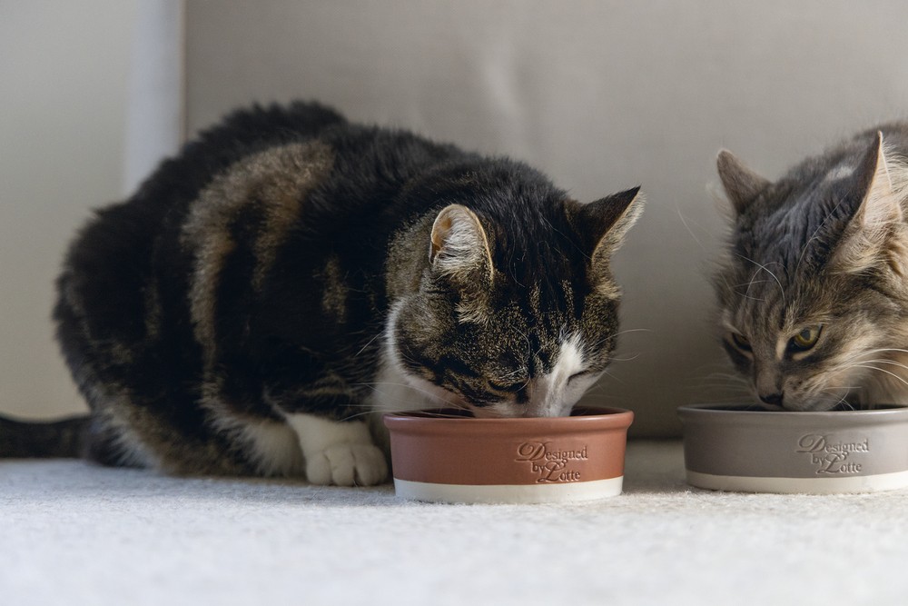 Beeztees DBL Kedi Mama Su Kabı, Seramik, Mat Kiremit, 12cm, 300ml