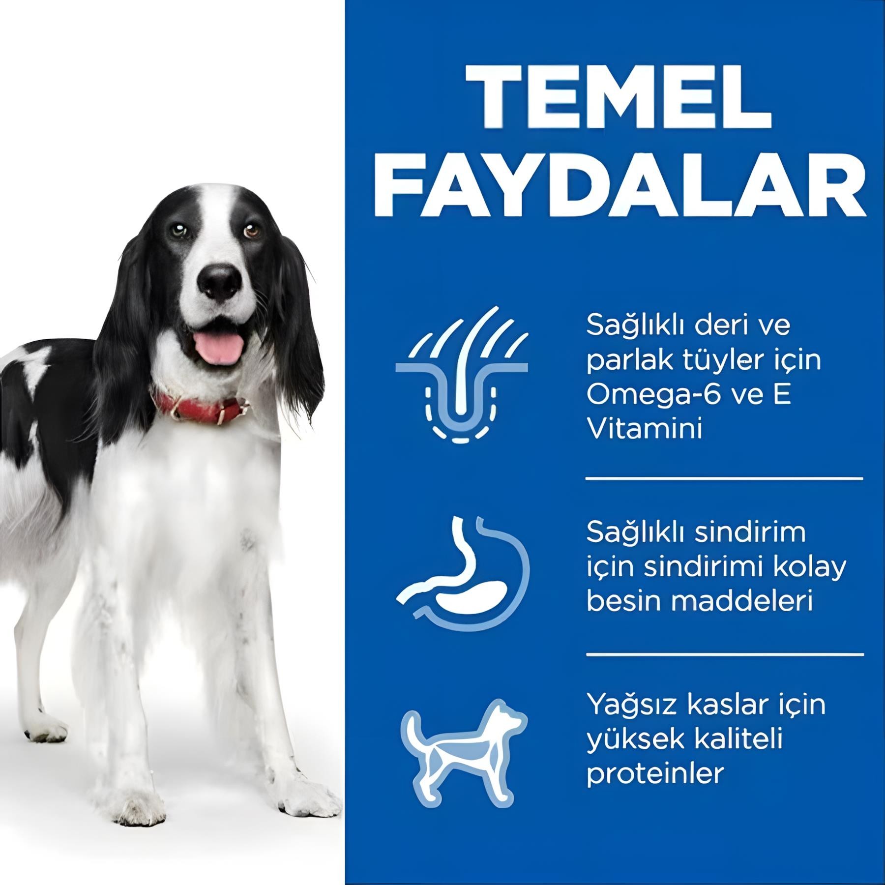 Hills Biftekli Konserve Yetişkin Köpek Maması 370gr