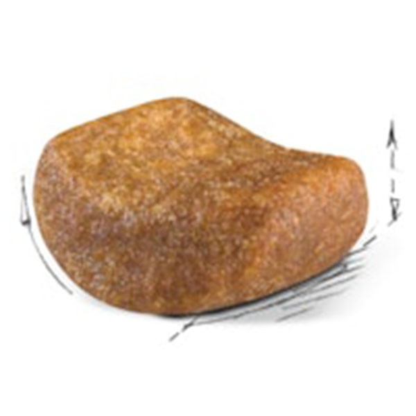 Royal Canin British Shorthair Yetişkin Kedi Maması 10 Kg