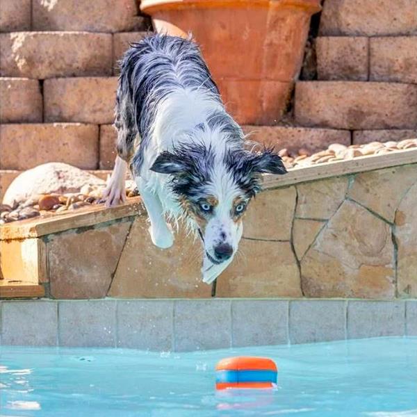 Chuckit Suda Batmayan Köpek Oyun Halkası