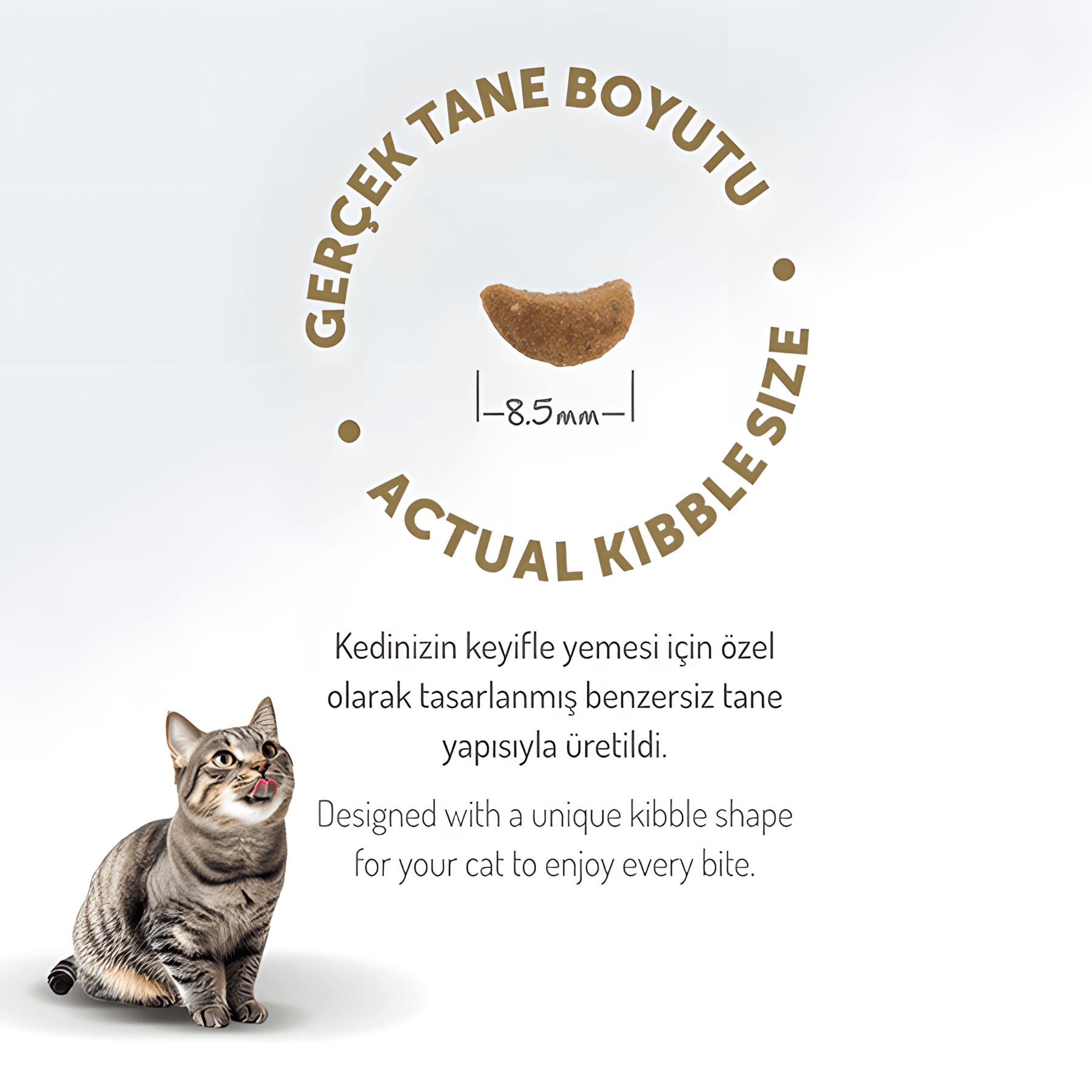 Felicia Az Tahıllı Kuzu Etli Hypoallergenic Kolajenli Yetişkin Kedi Maması 12Kg