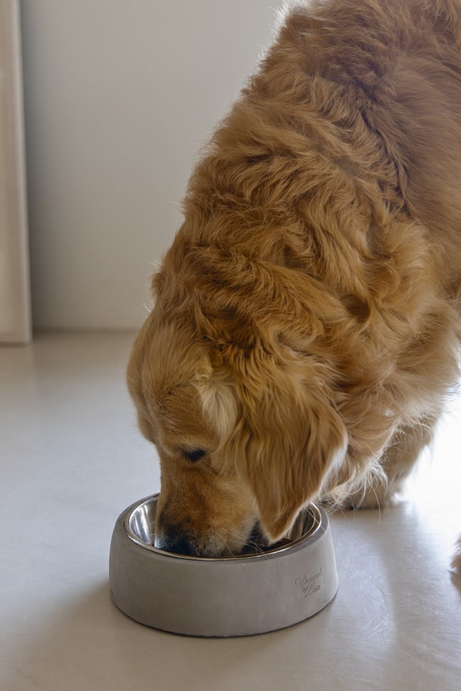 Beeztees DBL Köpek Mama Su Kabı, Dışı Beton, Paslanmaz Çelik, 20cm, 700ml