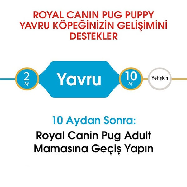 Royal Canin Pug Junior Yavru Köpek Maması 1,5 Kg