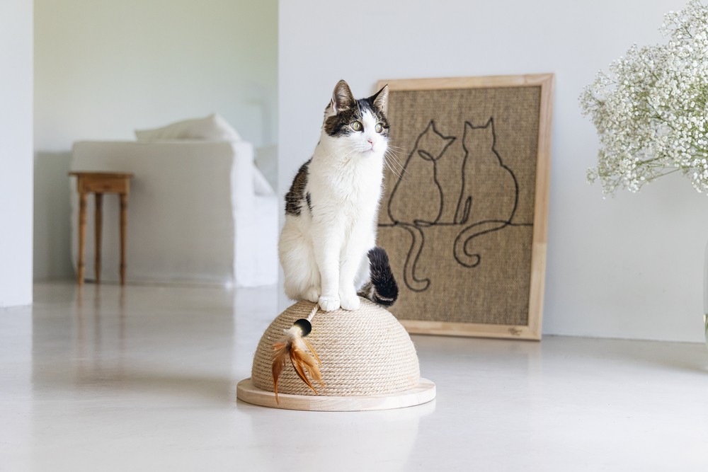 Beeztees DBL Kedi Tırmalama ve Oyuncağı, 34,5x34,5x18cm