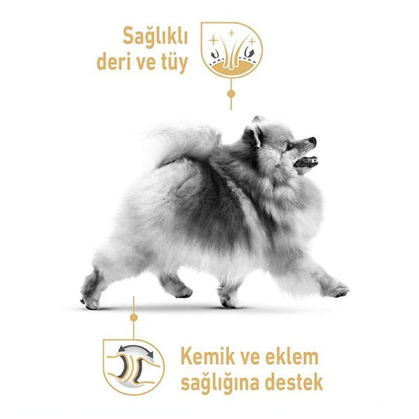 Royal Canin Pomeranian Yetişkin Köpek Maması 1,5 Kg