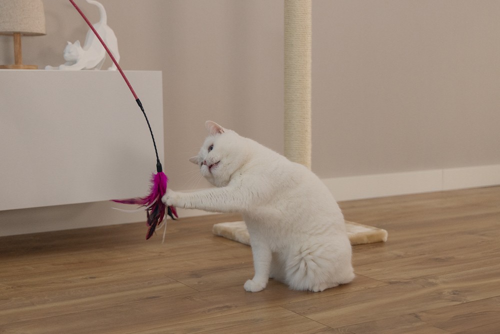 Beeztees Kedi Oltası, Tüylü, Çeşitli Renklerde,