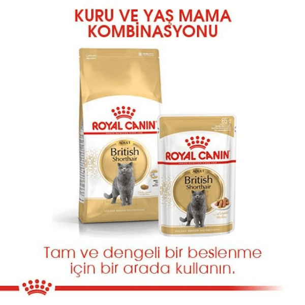 Royal Canin British Shorthair Yetişkin Kedi Maması 10 Kg