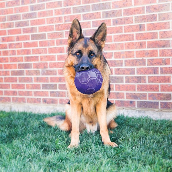 Kong Flexball Plastik Top Orta ve Büyük Irk Köpek Oyuncağı