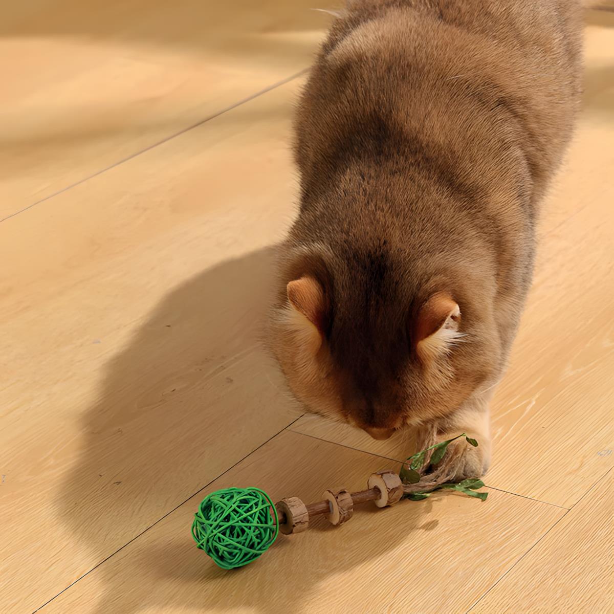 M-Pets Charmy Amulet Matatabi Kedi Oyuncağı Yeşil