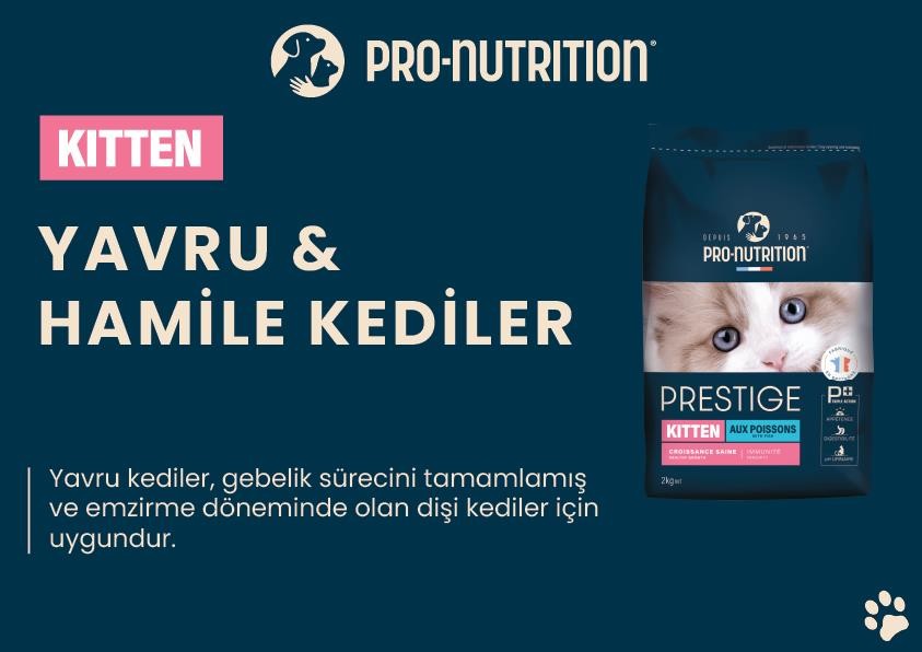 Pro Nutrition Kitten Balıklı Yavru Kedi Maması Paketten Bölme 1Kg