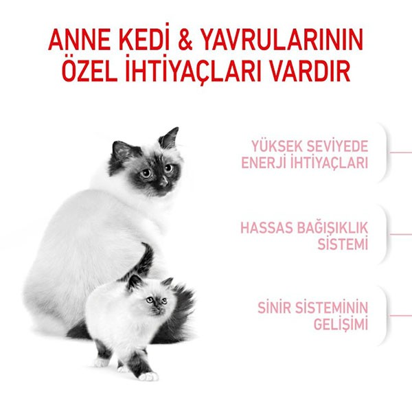 Royal Canin Mother Babycat Yavru Kedi Maması Paketten Bölme 1 Kg