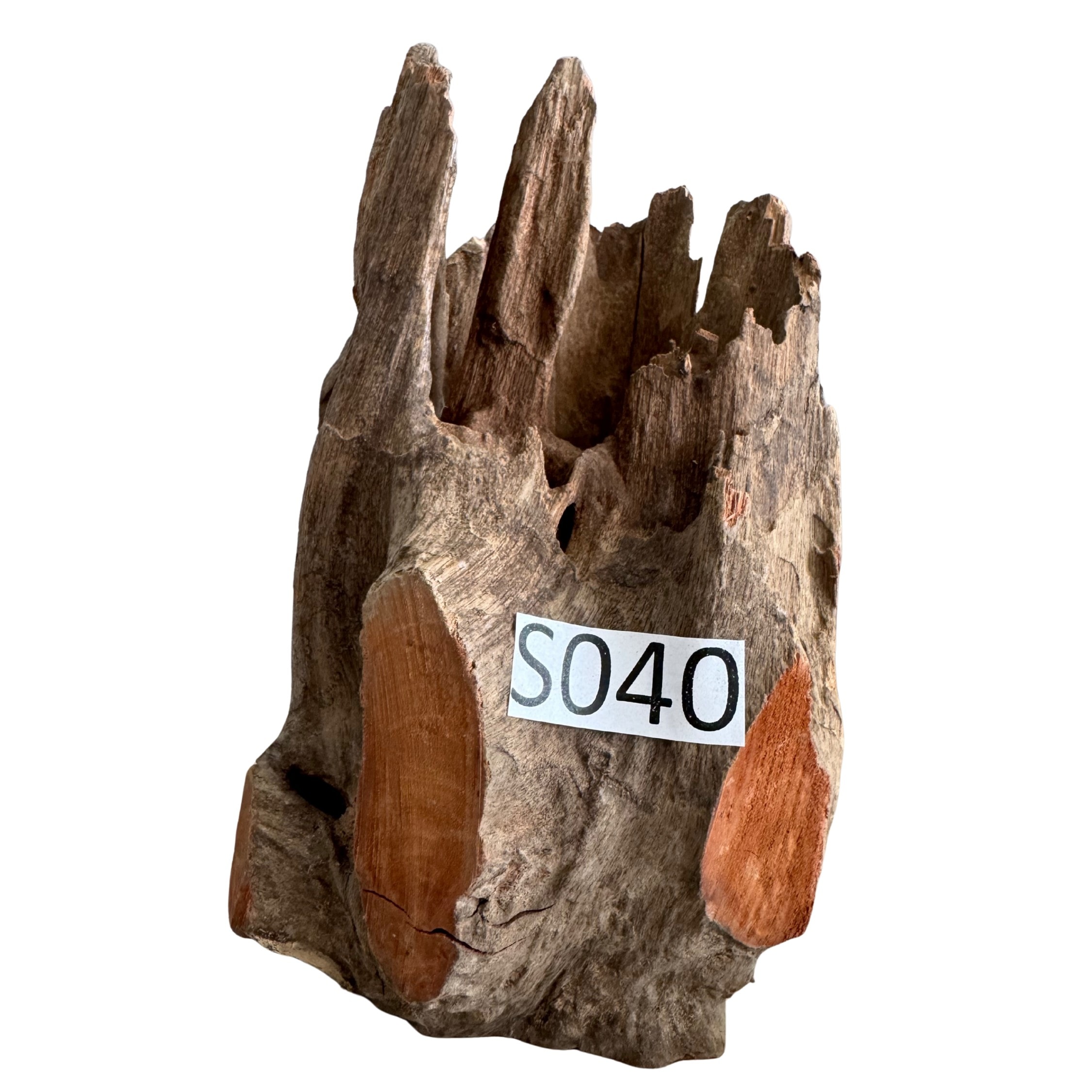 Creaqua Stump Wood Dekor Ağaç Gövdesi S 10-20 Cm - Small 40