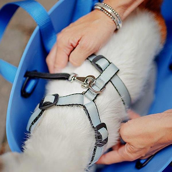 Ferplast With Me Bag Small Kedi Taşıma Çantası Mavi