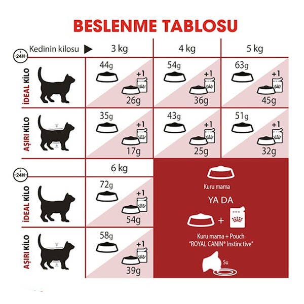 Royal Canin Adult Fit 32 Kedi Maması 400gr