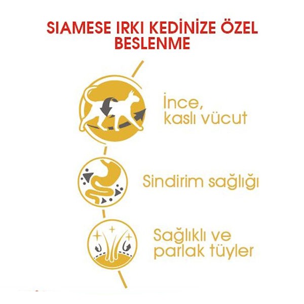 Royal Canin Siamese Yetişkin Siyam Kedi Maması 2Kg