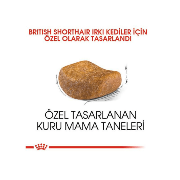 Royal Canin British Shorthair Yetişkin Kedi Maması 4 Kg