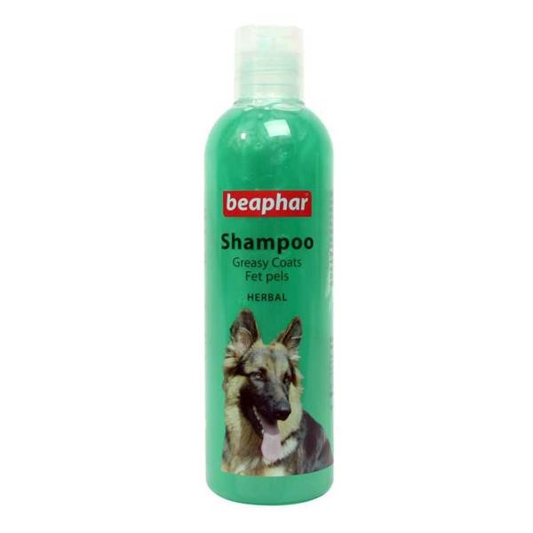 Beaphar Yağlı Ciltli Köpekler İçin Bitki Özlü Şampuan 250ml