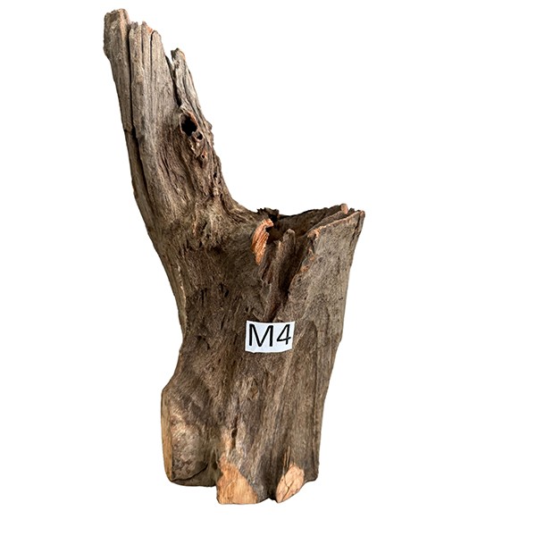 Medium 4